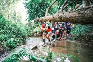 BIB: 
                            <button type="button" onclick="openModal(25516916)" class="btn btn-primary btn-sm float-right btn-popup" data-toggle="modal" data-target=".modal-high-quality">
                        <i class="fas fa-shopping-cart"></i> Add to Cart
                    </button>
                                            <button type="button" onclick="isThisMe(25516916, true)" class="btn btn-success btn-sm float-right btn-popup btn-isme hidden" data-toggle="tooltip" data-placement="bottom" title="นี่คือรูปของคุณใช่ไหม คลิกที่นี่เพื่อเอาเข้าอัลบั้ม">
                        <i class="fas fa-plus"></i> Add to album
                    </button>
                    <button type="button" onclick="isThisMe(25516916, false)" class="btn btn-warning btn-sm float-right btn-popup btn-isnotme hidden">
                        <i class="fas fa-ban"></i> Remove from album
                    </button>